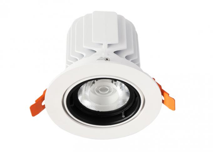 110 - 240V 30W LED regolabile ha messo la temperatura del colore bianca pura di Downlights