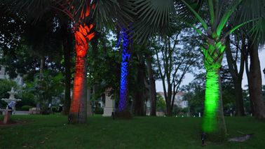 Porcellana La luce impermeabile del punto del giardino del paesaggio 20W il RGB LED e LED della fabbrica di Foshan chioda la luce fornitore
