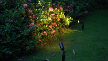 Il paesaggio IP65 impermeabile all'aperto luce dorata nera di alluminio del punto del giardino della pressofusione LED e luce della punta del LED fornitore